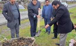 کاشت یکهزار اصله درخت در مراکز نگهداری، درمان و کاهش آسیب مازندران