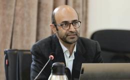 طرح کشت شقایق الیفرا مدنظر است نه خشخاش تریاک&zwnj;دار/ با کشت غیرقانونی خشخاش در لایحه پیش&zwnj;رو به شدت و تلخی برخورد خواهد شد