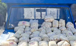 کشف بیش از ۵۱ کیلوگرم مواد مخدر در تایباد