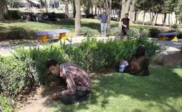 شهرداری&zwnj;های خوزستان معتادان متجاهر را جمع&zwnj;آوری کنند