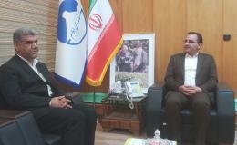 مشارکت اجتماعی: کلید پایداری برنامه های پیشگیرانه