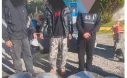 جمع آوری35 معتاد متجاهر در راستای مقابله جدی با زمینه&zwnj;های وقوع آسیب اجتماعی