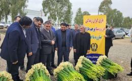 در هر روستا، یک خانه یاریگران زندگی ایجاد می&zwnj;شود