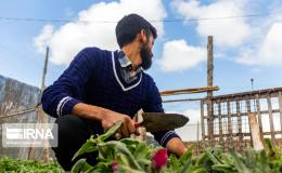 توانمندسازی یک هزار و ۶۶۱ معتاد در البرز