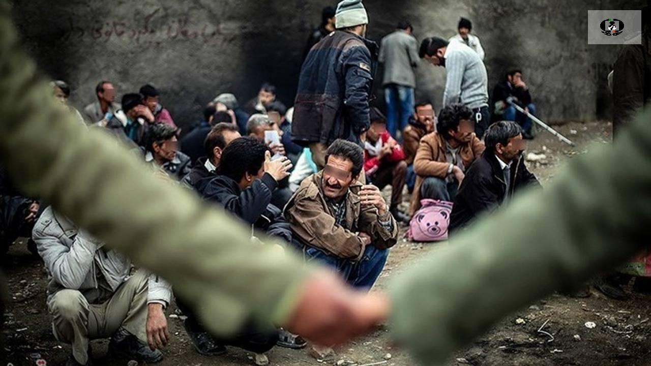 بازداشت 162 نفر در طرح آرامش پلیس بوشهر