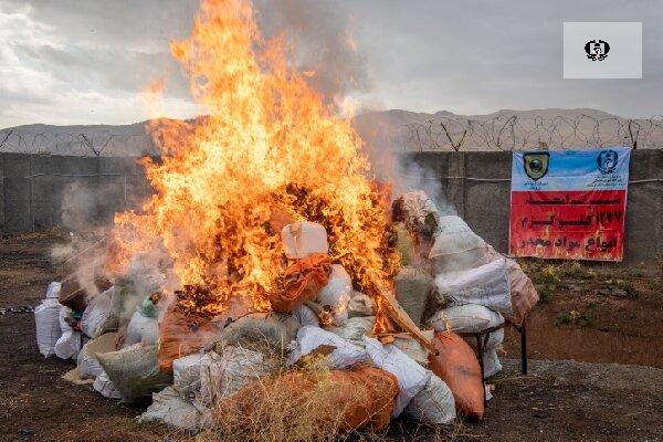 کشف ۸۰۰ کیلوگرم مواد مخدر در همدان؛ ضربه پلیس به ۱۴ باند فعال قاچاق