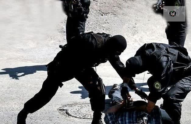 با شلیک به&zwnj;موقع پلیس سمنان محموله موادمخدر به تهران نرسید