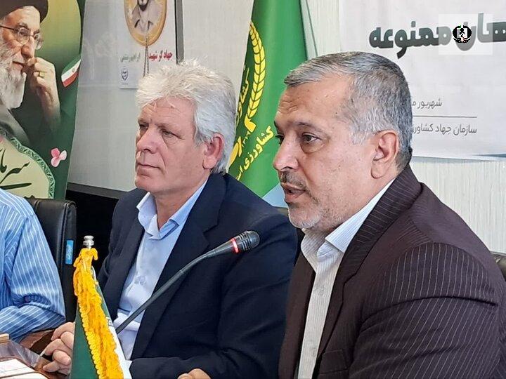 عزم جدی برای مقابله با کشت&zwnj;های ممنوعه در کرمانشاه