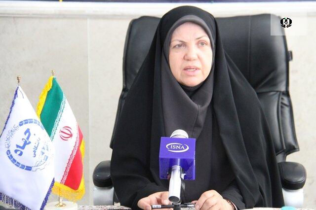۶۰ درصد مدارس چهارمحال و بختیاری، مجری طرح یاریگران زندگی هستند